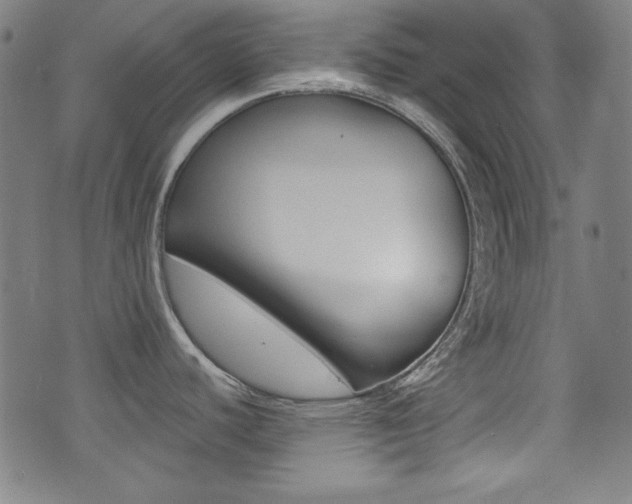 X0000071341440200606230726