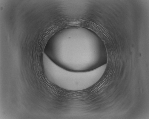 X0000071341441200606230725