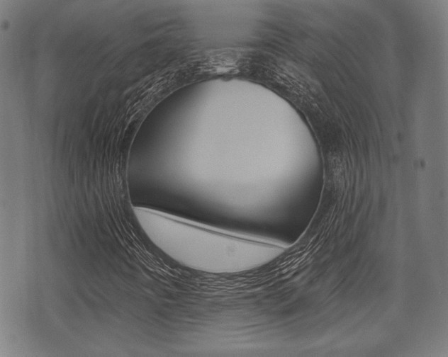 X0000071341442200606230725