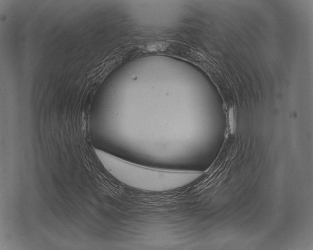 X0000071341443200606230725