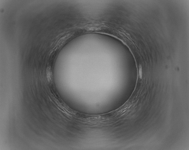 X0000071341444200606230725