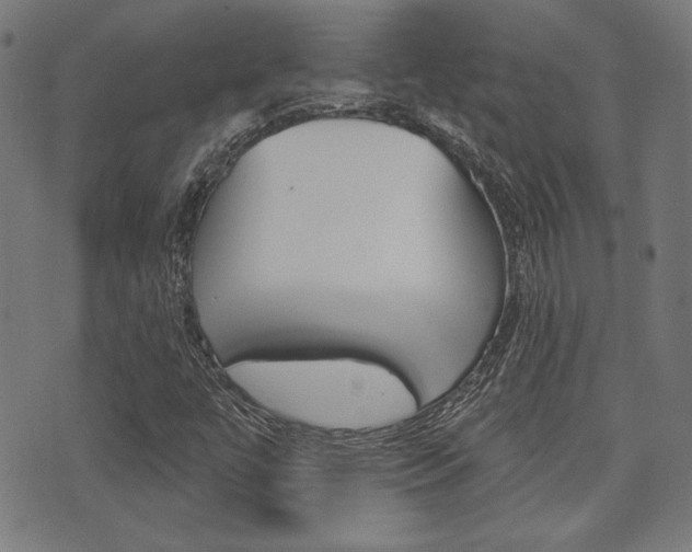 X0000071341447200606230725
