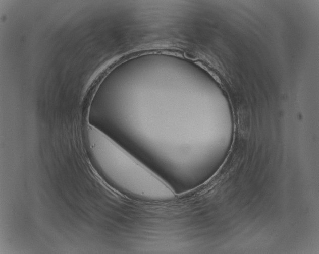 X0000071341452200606230725