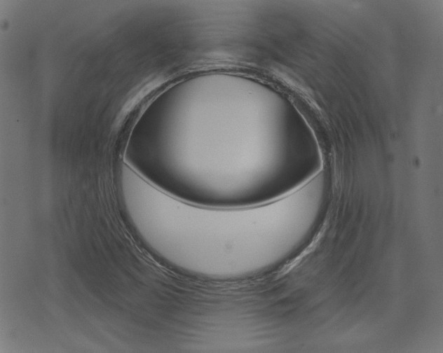 X0000071341453200606230725