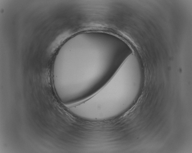 X0000071341455200606230725