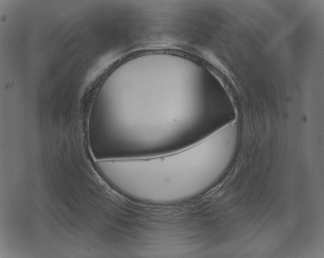 X0000071341456200606230725