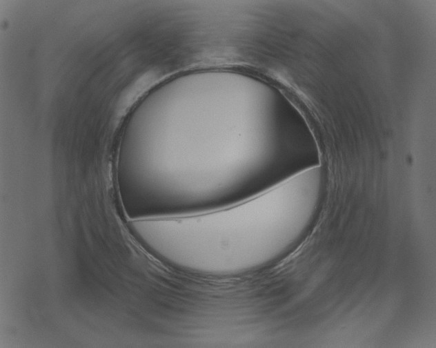 X0000071341459200606230725