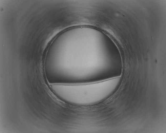 X0000071341460200606230725