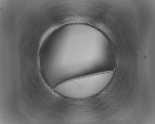 X0000071341472200606230725