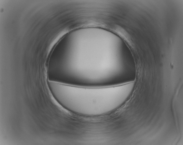 X0000071341476200606230725