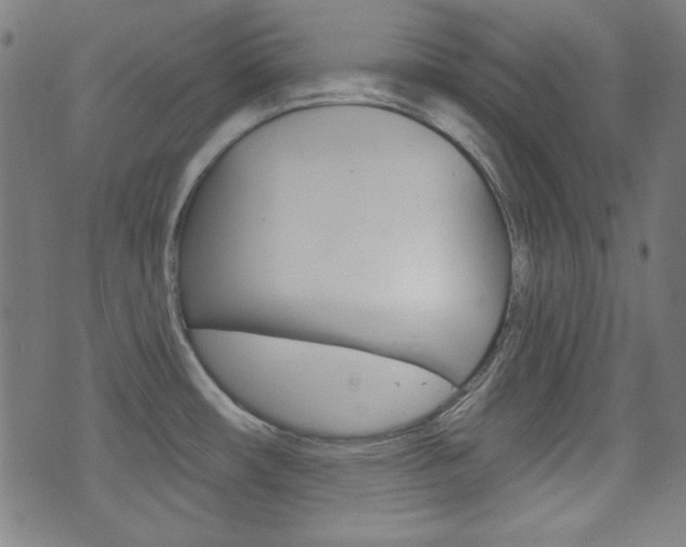 X0000071341482200606230725