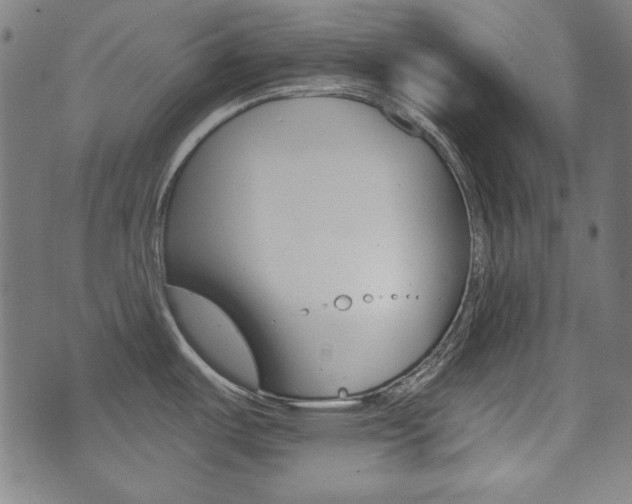 X0000071341487200606230725
