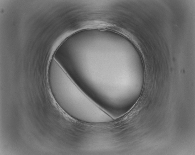 X0000071341488200606230725