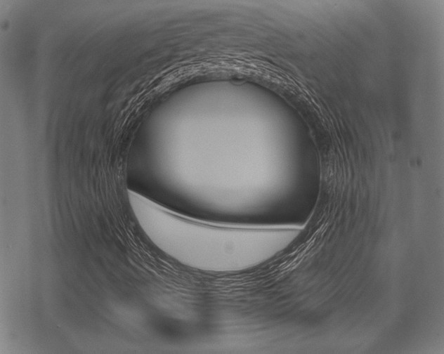 X0000071341490200606230724