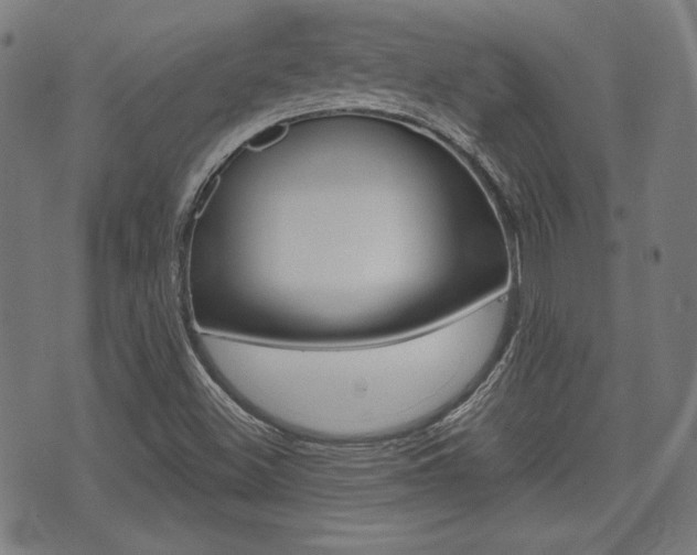 X0000071341500200606230724