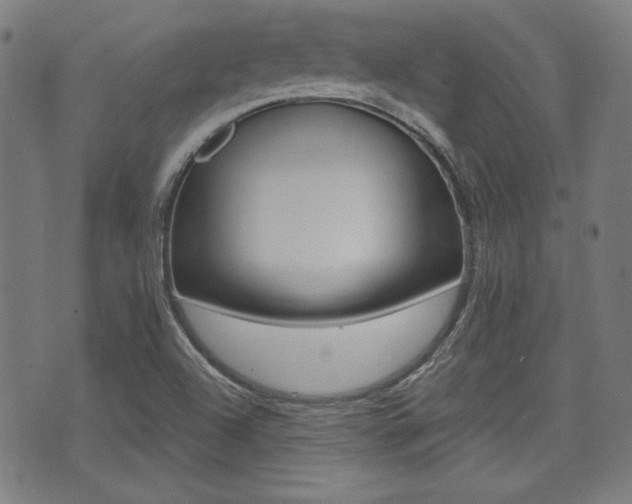 X0000071341504200606230724