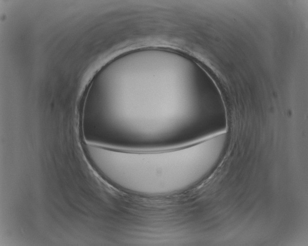 X0000071341508200606230724
