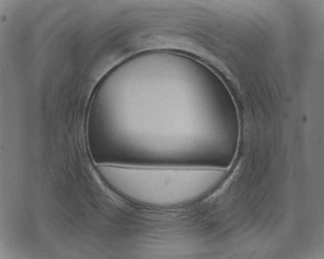 X0000071341513200606230724
