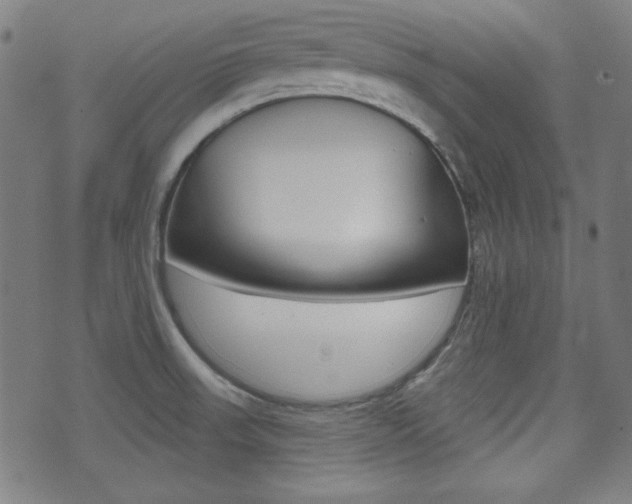 X0000071341523200606230724