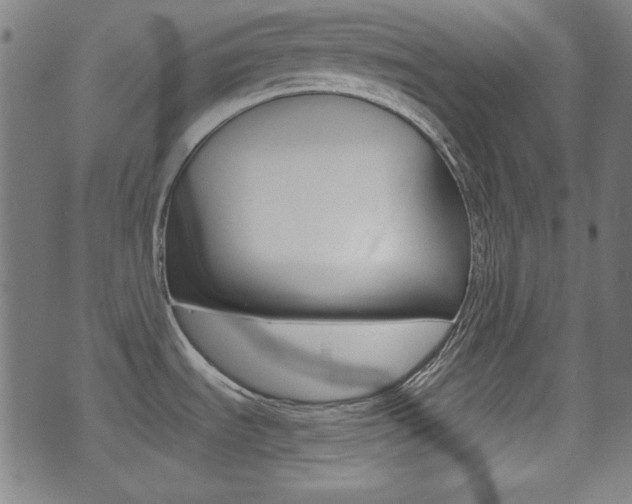 X0000071341535200606230725