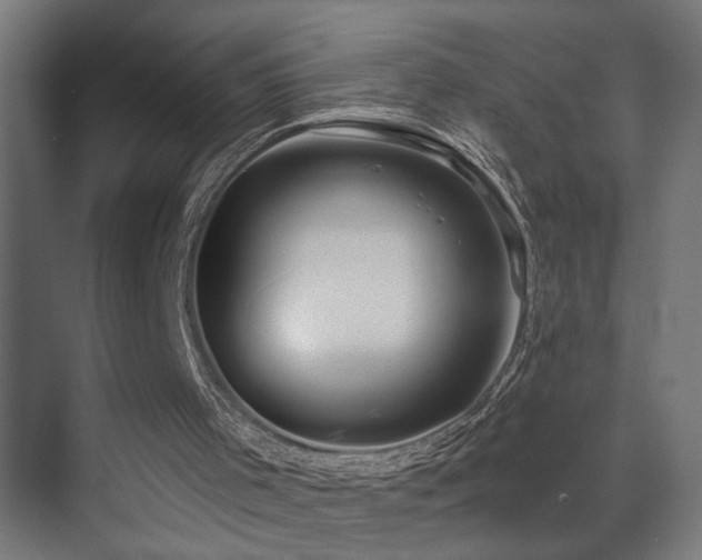 X0000071340001200606231150