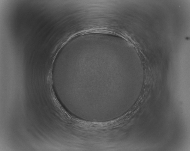 X0000071340002200606231150