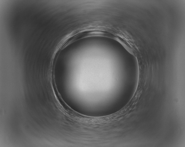 X0000071340003200606231150