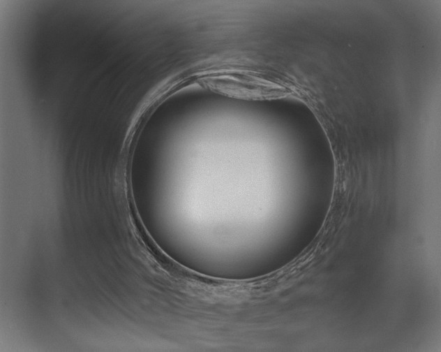 X0000071340004200606231150