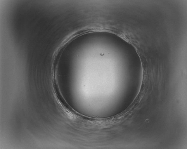 X0000071340005200606231150