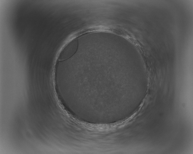 X0000071340006200606231150