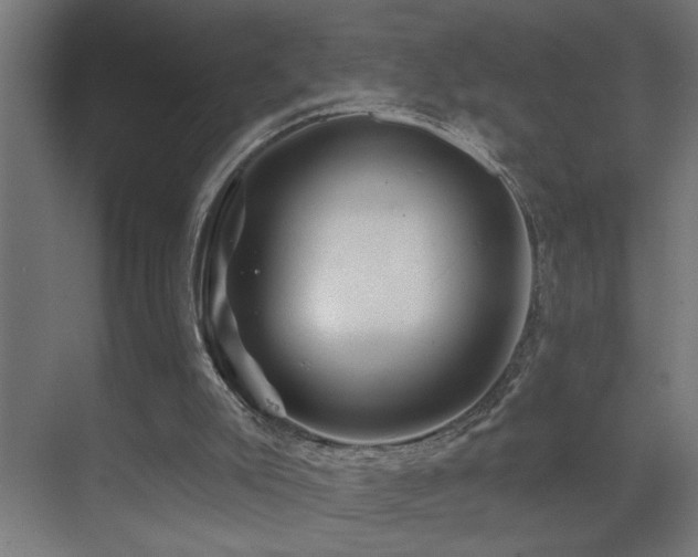 X0000071340007200606231150