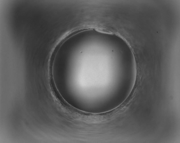 X0000071340008200606231150