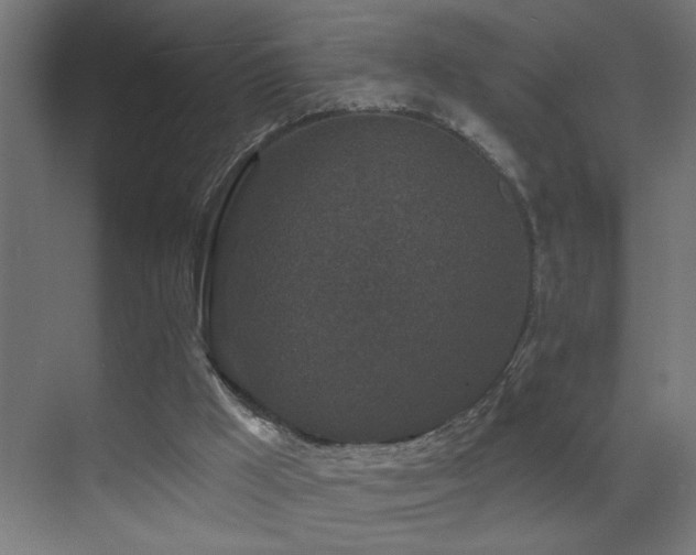 X0000071340009200606231150