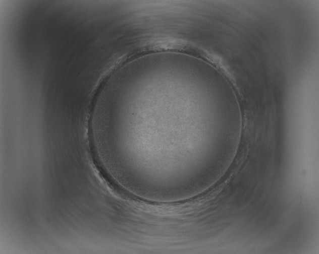 X0000071340010200606231150