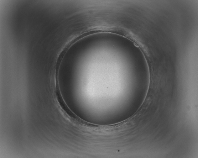 X0000071340011200606231150