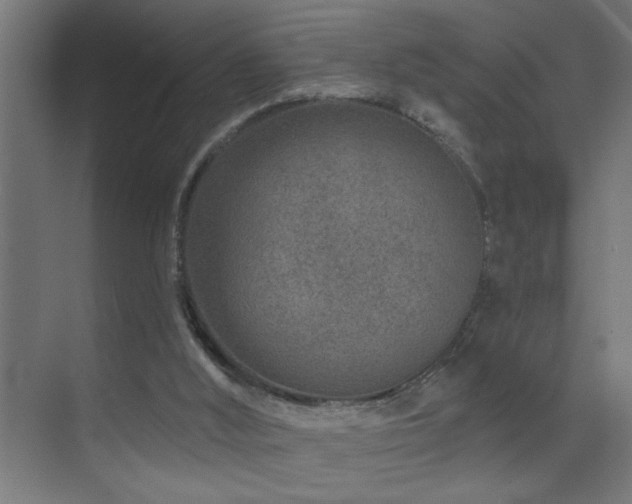 X0000071340012200606231150