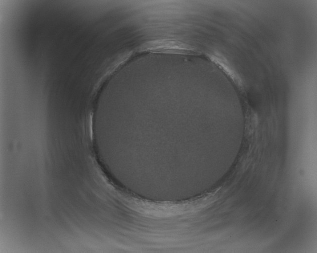 X0000071340014200606231150