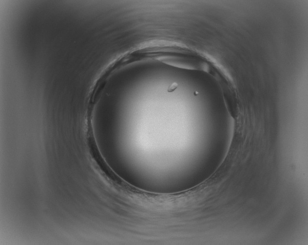 X0000071340015200606231150