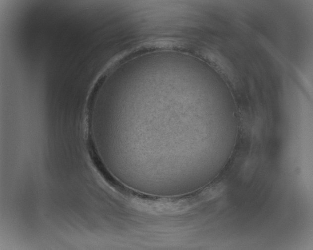 X0000071340016200606231150