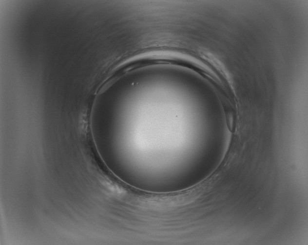 X0000071340017200606231150