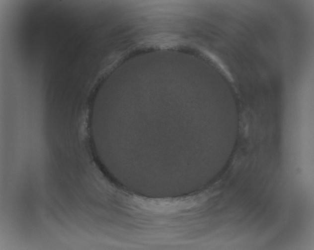 X0000071340018200606231150