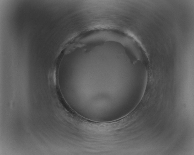 X0000071340019200606231150