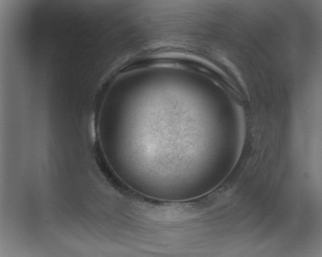 X0000071340020200606231150