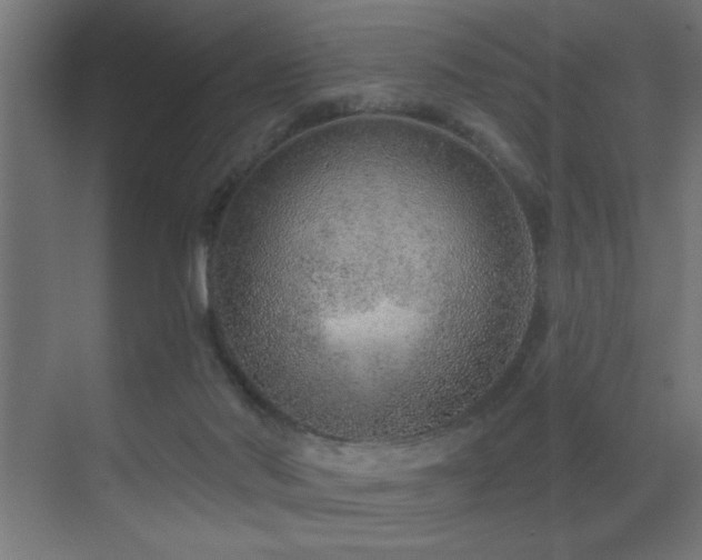 X0000071340022200606231150