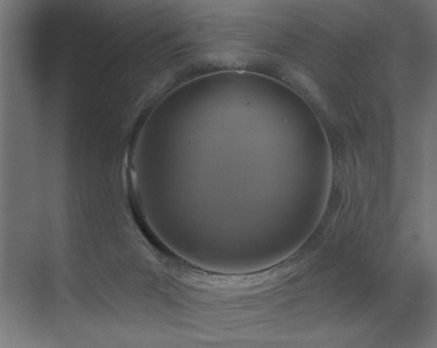 X0000071340023200606231150