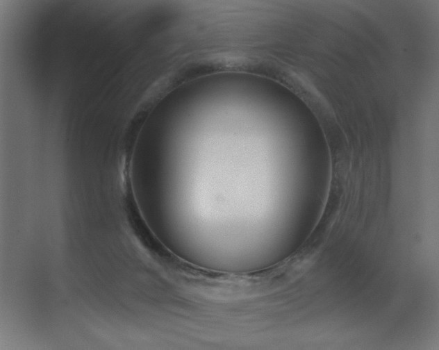 X0000071340024200606231150