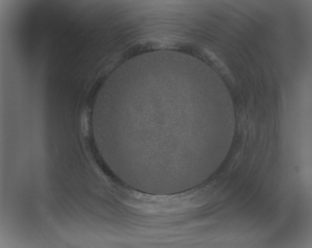 X0000071340026200606231150