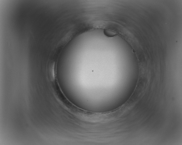 X0000071340028200606231150