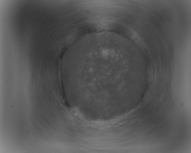 X0000071340029200606231150