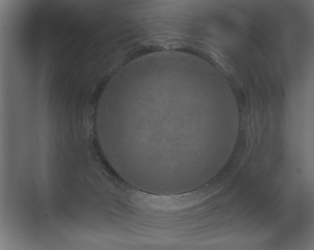 X0000071340030200606231150